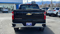2025 Chevrolet Silverado 1500 Work Truck