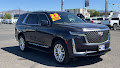 2023 Cadillac Escalade 4WD Premium Luxury