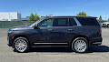 2023 Cadillac Escalade 4WD Premium Luxury