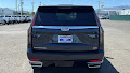 2023 Cadillac Escalade 4WD Premium Luxury